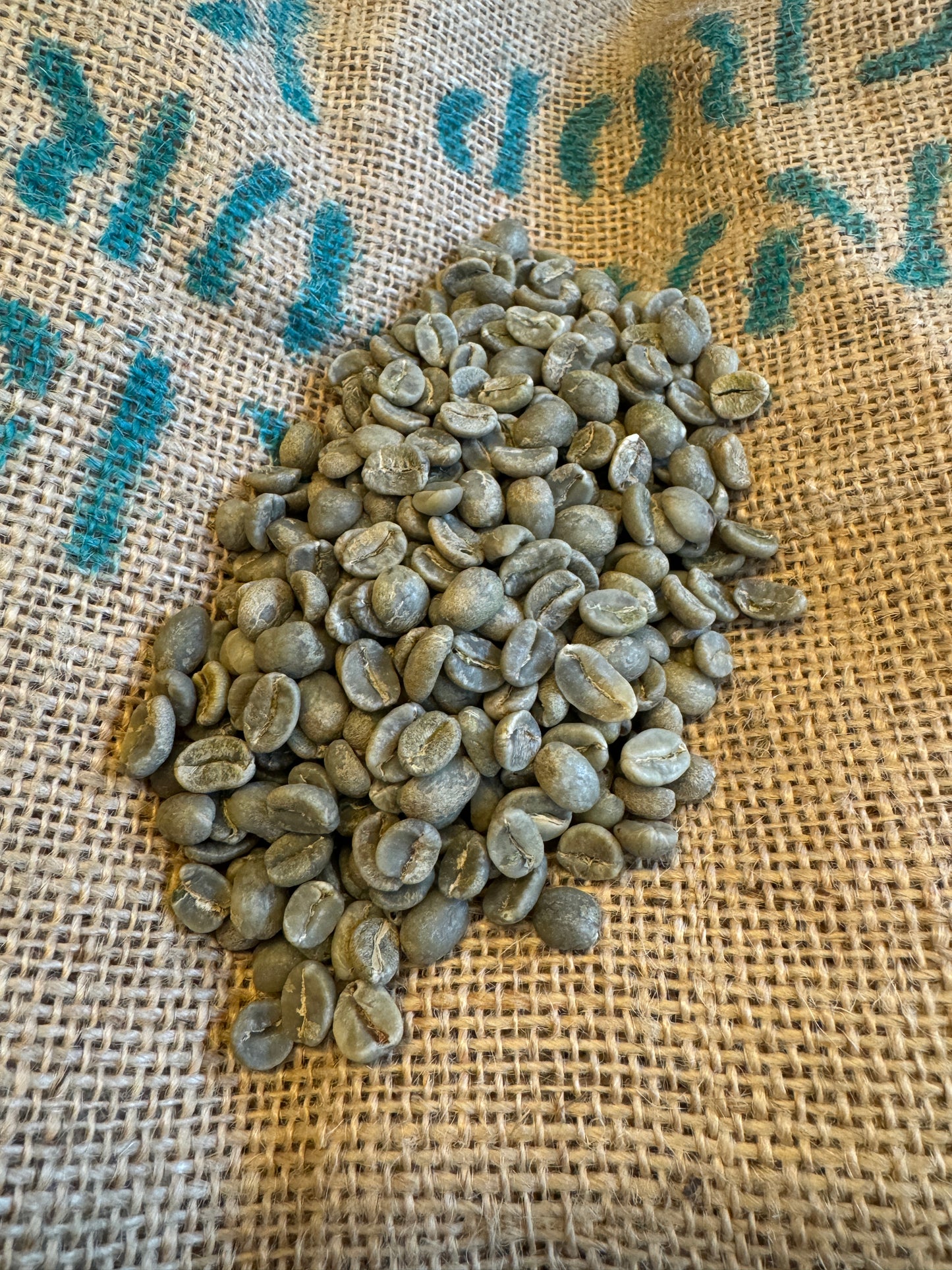 En bunke EverBean 601 - Colombia, Grønne Bønner venter på at blive ristet og lover den friske, livlige smag af autentisk colombiansk kaffe og supremo kvalitet.