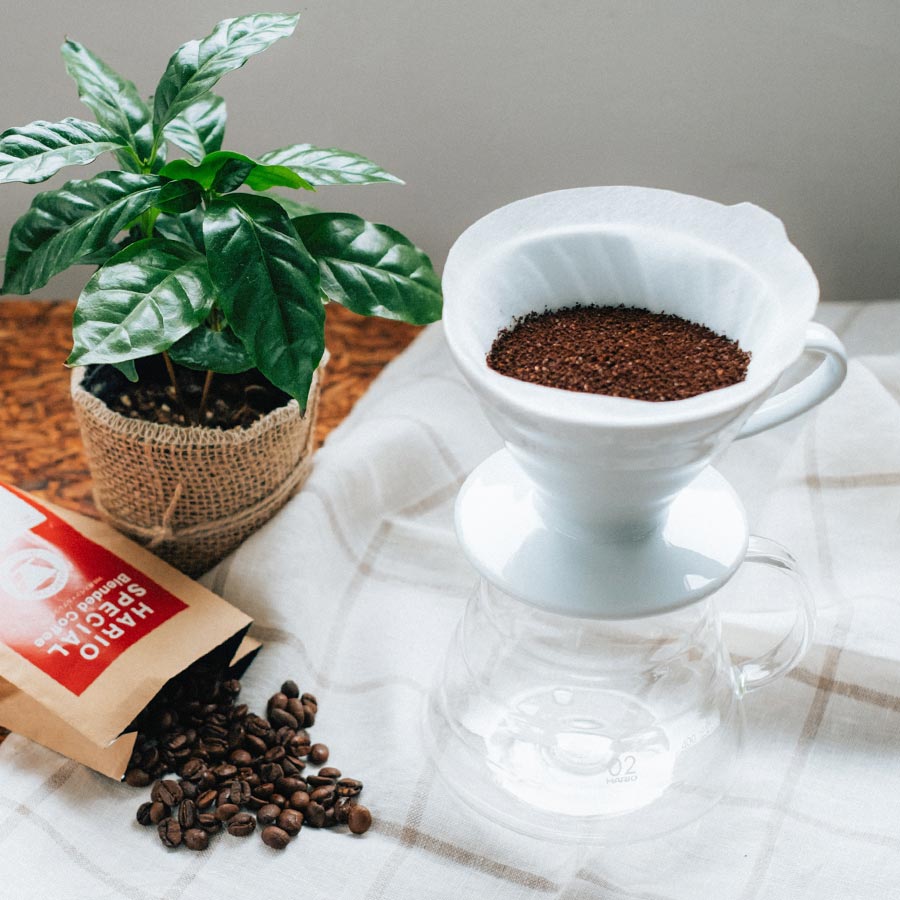 En kaffeopsætning har en hvid hældnings-drypper med Hario, Papir Filter, størrelse 03 indeholdende malet kaffe på en glaskaraffel. Kaffebønner spilder fra en rød og hvid pakke i nærheden. En potteplante på træ forstærker den dejlige kaffebrygningsoplevelse på et hvidt klæde.