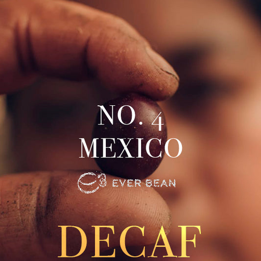 Et nærbillede af en hånd, der holder et kaffekirsebær med "No. 04 - Mexico Decaf (øko) - EverBean" overlejret. Den slørede baggrund fremhæver denne mexicanske økologiske koffeinfri kaffe, som er ideel til elskere af filterkaffe eller koffeinfri kaffe.