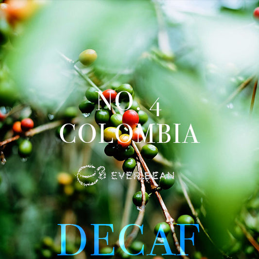 Nærbillede af kaffekirsebær, både røde og grønne, med tekstoverlejring: "No. 04 · Colombia Decaf," "EverBean," og "koffeinfri kaffe" med fede blå og hvide bogstaver.