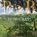 Frodige grønne kaffeplanter trives i et tropisk landskab under en lys himmel; med fed guldtekst står der "No. 05 - Honduras (b)" med EverBean Business-logoet, der fremhæver blød og rund kaffe fra Honduras.