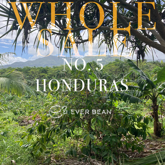 Kaffeplanter trives på en grøn mark med bjerge i baggrunden. Overlejret tekst: "No. 05 - Honduras (w)", "EverBean Wholesale" og logo - perfekt kaffe fra Honduras med mindre syre, hele bønner.