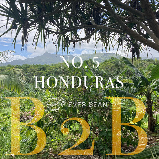 En frodig grøn plantage med tropiske planter og bjerge fremhæver kernen i EverBeans kaffeproduktion Honduras. Tekst over billedet lyder: "Nr. 05 · Honduras (w)". En kaffeplante i forgrunden antyder smag af sød karamel og mørk chokolade.