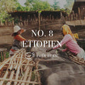 To personer sorterer arabica-bønner på højbede udendørs, omgivet af trækonstruktioner og grønne områder. På billedet ses teksten "No. 08 - Etiopien, Single Serve" og "EverBean ApS.