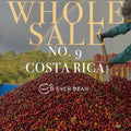 En person sorterer en stor bunke røde kaffekirsebær udendørs under en regnbue, og teksten lyder: "EverBean Wholesale No. 09 - Costa Rica (w) kaffebønner.