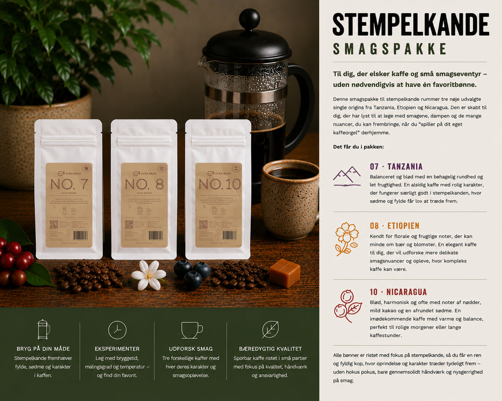 EverBean ApS' Stempel Smagspakke med specialkaffe No. 7, No. 8 og No. 10 er arrangeret på et bord sammen med en stempelkande, en kaffekop, grønne blade, kaffebønner og en tilhørende informationstekst.