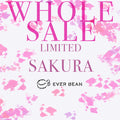 Den lyserøde tekst lyder "WHOLE SALE LIMITED SAKURA" på en hvid baggrund med lyserøde blomsteraccenter og henviser til Limited, Sakura (øko) (w), brygget på 100 % arabicabønner. Nedenfor ses EverBean Wholesale-logoet og brandnavnet i sort.